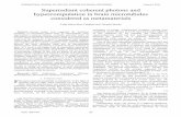 Superradiant coherent photons and hypercomputation in ...€¦ · manifestations of consciousness [5-7] ... suggested the occurrence, in biological matter, of macroscopic quantum