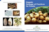 Common Insect and Disease Symptoms of Potato …Organic Potato Cultivation Cultural practices and weed management 7. Crop rotation, g een manur e cropping and inter cultivation bet