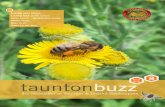 Looking back at the season Asian hornet – …...Inside this issue... Looking back at the season Asian hornet – identification poster Winter recipe Bees in art Dates for the diary