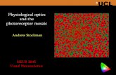 Physiological optics and the photoreceptor mosaiccvrl.ucl.ac.uk/neur0017/Lecture Notes/Stockman/Physiological optics… · Physiological optics and the photoreceptor mosaic Andrew