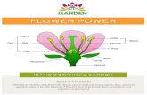 FLOWER POWER - Idaho Botanical Garden · FLOWER POWER. IDAHO BOTANICAL GARDEN. INTRODUCTION. TERMS. Dear Teacher, ... The reproductive structure of an angiosperm. Fruit: A ripened