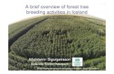 A brief overview of forest tree breeding activities in Iceland · A brief overview of forest tree breeding activities in Iceland Aðalsteinn Sigurgeirsson Icelandic Forest Research