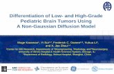 Differentiation of Low- and High-Grade Pediatric Brain ...chapter.aapm.org/midwest/2015SpringMeeting/4_Karaman_AAPMSp… · Differentiation of Low- and High-Grade Pediatric Brain