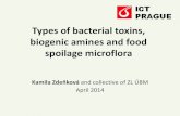Types of bacterial toxins, biogenic amines and food ...old-biomikro.vscht.cz/vyuka/ifm/Bacterial_toxins_biogenic_amines_a… · Types of bacterial toxins, biogenic amines and food
