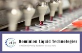 Dominion Liquid Technologies - Salesforce | ERP › wp-content › uploads › DLTSucces… · which is of utmost importance with any ERP project. Their input, testing and validation