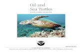 Oil and Sea Turtles - glo.texas.gov€¦ · turtles. Ancient in their origins, sea turtles are bestowed with a mystical quality that in part derives from their longevity as inhabitants