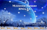 Млекопитающие ЯМАЛАa2b2.ru/storage/files/methodologicals/17716/20215_Zhivotnye Yama… · начале зимы кормится с утра 2-4 часа, ... и