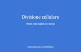 Divisione cellularecompgen.bio.unipd.it › ~ale › ostetricia_divisione... · LA DIVISIONE CELLULARE: EUCARIOTI - Le cellule eucariotiche si dividono con due meccanismi: mitosi