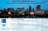 EUROSON SCHOOL CEUS Course How to Incorporate CEUS into ...efsumb.org/euroson-sch/ceus_school_kings_may2016-prog.pdf · King’s College Hospital, London, UK Dr. Maria Sellars Consultant