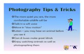 Photography Tips & Tricks › uploadedFiles › Photo Tips and Tricks.pdf · Photography Tips & Tricks The more quiet you are, the more comfortable wildlife will be Talk in a soft