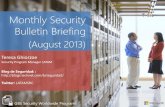 Monthly Security Bulletin Briefing - Microsoft › media › TNBlogsFS... · 2017-01-30 · Monthly Security Bulletin Briefing (August 2013) GBS Security Worldwide Programs Teresa