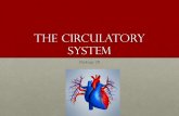 The Circulatory System · The Circulatory system •The human circulatory system is designed to transport blood throughout the body. •Blood carries oxygen and nutrients to your