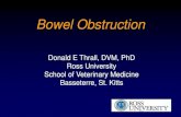 NZ Bowel Obstruction Mechanical vs. Paralytic Ileus Mechanical Usually two populations of bowel ¢â‚¬¢