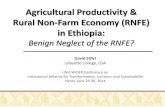 Agricultural Productivity & Rural Non-Farm Economy …...Agricultural Productivity & Rural Non-Farm Economy (RNFE) in Ethiopia: Benign Neglect of the RNFE? David Stifel Lafayette College,