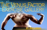 Table of Contents - Venus Index€¦ · Table of Contents Ab Wheel ... One Arm Dumbbell Row (Wide) 32 Keep a tight grip on the dumbbell to help pack the shoulder. Row the dumbbell