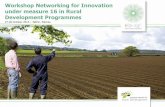 Workshop Networking for Innovation under measure 16 in ... · Networking at national / regional level 09:00 –09:05 Opening and introducing Day 2 09:05 –09:30 Presentation “Supporting