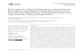 Perceptions of Rural Emergency Department Providers ... · cies in telehealth care delivery in the clinical setting. 1.2. Telehealth and Provider Perceptions of Competency of Care