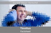 Tinnitus - AgeMan® Alterssimulationsanzug · Tinnitus und Alter 8 Tinnitus bei jungen Menschen 11 Ursachen 13 ... Auf welche Weise Stress, Angst, Überforderung oder psychische Erkrankungen