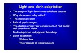 Light and dark adaptation - McGill University · Mean light levels I I I = 0.5 I = 5 I = 50 A single neuron can shift its operating range according to the mean light level. The light