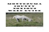 Montezuma County Noxious Weed Guidemontezumacounty.org/web/wp-content/uploads/2016/02/...Federal Noxious Weed Act Federal Noxious Weed Act -- Public Law 93-629 (7 U.S.C. 2801 et seq.;