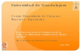 Universidad de Guadalajarafonan.nutricionenmexico.com/antiguo/presentaciones/eje3/2... · 2013-09-05 · Universidad de Guadalajara . Centro Universitario de Ciencias Exactas e Ingenierías.