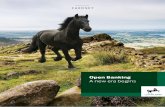 Open Banking A new era begins - Lloyds Bank Cardnet · Open Banking: a new era begins 4 Open Banking introduces new opportunities for banks to work with merchants and other third