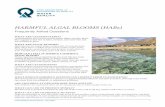 HARMFUL ALGAL BLOOMS (HABs) - Utah...HARMFUL ALGAL BLOOMS (HABs) Frequently Asked Questions WHAT ARE CYANOBACTERIA? Cyanobacteria, also known as blue-green algae, are tiny, plant-like