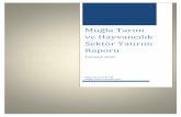 Muğla Tarım ve Hayvancılık Sektör Yatırım Raporu · 2020-02-10 · Temmuz 2018 Mehmet Yasin Kartal Muğla Yatırım Destek Ofisi. 1 ĠÇĠNDEKĠLER ... 4.1 Zeytin ve Zeytinyağı