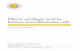 Effects of ellagic acid in human neuroblastoma cells661066/... · 2013-11-08 · Effects of ellagic acid in human neuroblastoma cells . ... Polyphenols and health . The use of plant