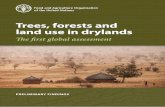 Trees, forest and land use in drylandscatalogue.unccd.int/694_Drylands_Global_Assessment... · Trees, forests and land use in drylands: why? drylands cover about 41 percent of the