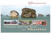 Tour Dao Hoi anh - Vietnam Vacation — Top 10+ Vietnam ... · Ha Long Bay Ha Long Bay is one of the world's natural wonders, and is the most beautiful tourist destination in Vietnam.