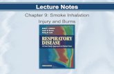 Chapter 9: Smoke Inhalation Injury and Burns · § List the effects of smoke inhalation injury on the upper and lower airways § Identify methods to diagnose smoke inhalation injury