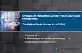 Strategies for Litigation Success: Trade Secret Asset ... · 2 21st Century: The Emergence of Trade Secret Assets •The Defend Trade Secrets Act of 2016 •The European Union Trade