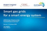 Smart gas grids for a smart energy system€¦ · Smart gas grids for a smart energy system . 2 Our energy system begins with the consumer ... Av. de Cortenbergh 172 1000 Brussels