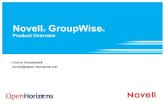 Novell GroupWise · GroupWise 8 SP2 • Access Control ... on internal mail • ACL on distribution lists • Limit maximum recipients • Managed via ConsoleOne – Client Options