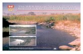 THE WES STREAM INVESTIGATION AND STREAMBANK STABILIZATION HANDBOOK · 2015-07-29 · THE WES STREAM INVESTIGATION AND STREAMBANK STABILIZATION HANDBOOK by David S. Biedenharn, Charles