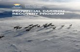 PROVINCIAL CARIBOU RECOVERY PROGRAM · 2 Provincial Caribou Recovery Program April 2018 For thousands of years, herds of Woodland Caribou have roamed British Columbia contributing