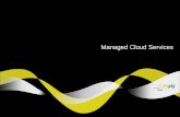 Managed Cloud Services - Reply · virtualization, cloud management, data centre automation, ITSM) • Implementation of selected solution Software Selection and implementation •