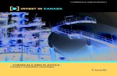 [ CHEMICALS AND PLASTICS ] - Global Affairs Canadainternational.gc.ca/.../Chemicals_and_Plastics.pdf · Chemicals and plastics companies in Canada are part of an integrated value