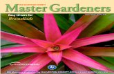 Master Gardeners - Texas A&M University · 2017-06-05 · The Galveston County Master Gardeners Magazine - June 2012 - Page 4 Q&A Hot Line Topics The pecan tree, Carya illinoinensis,