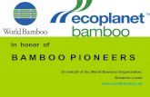 B A M B O O P I O N E E R S - World Bamboo€¦ · WBO Bamboo Pioneer Award Recipients At the occasion of the 8th WBC Bangkok (2009): • Ueda Koichiro of Japan • Krit Samapuddhi