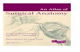 Atlas of Surgical Anatomy - The Eye...Boca Raton, FL 33431, USA Within Continental USA Tel.: 800 272 7737; Fax.: 800 374 3401 Outside Continental USA Tel.: 561 994 0555; Fax.: 561