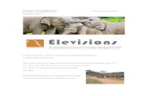 ELEPHANT AID INTERNATIONAL View this email in your browser ... · ELEPHANT AID INTERNATIONAL View this email in your browser One World...One Elephant at a Time November 5, 2014 ...