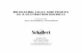 Notes for Increasing Sales and Profits as a Destination ...jonschallert.com/.../01/BBB-Tyler-TX-Increasing-Sales...Business-Note… · methods that industry-leaders traditionally