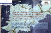 Remote sensing for archaeological studies and territory ...earth.esa.int/heritage/2015-events/15m38/... · Remote sensing for archaeological studies and territory management: case
