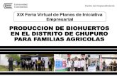 Presentación de PowerPoint · Se elaborara biohuertos para las familias del Distrito de Chupuro, con el fin de orientar y mejorar la producción de hortalizas y cambiar la forma