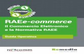 Il Commercio Elettronico e la Normativa RAEE...La normativa che regola la raccolta e il riciclo dei RAEE in Italia è il Decreto Legislativo 49 del 14 marzo 2014, che recepisce la