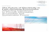 Industry Agenda The Future of Electricity in Fast …The Future of Electricity 7 Electricity markets in fast-growing economies face different challenges than those in more mature markets.