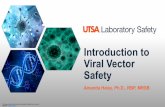 Introduction to Viral Vector Safety - UTSAresearch.utsa.edu/wp-content/uploads/2019/08/... · viral vectors. • Identify viral vectors commonly used in research. • Understand the