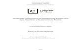 Identificação e Diferenciação de Pseudomonas ... · PDF file ii Identificação e Diferenciação de Pseudomonas aeruginosa na Água, Superfícies e Equipamentos de Piscinas Cristina